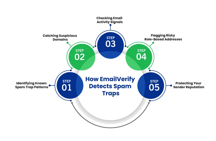 How Does EmailVerify Detect Spam Traps in Your List
