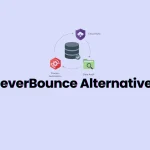 NeverBounce Alternatives